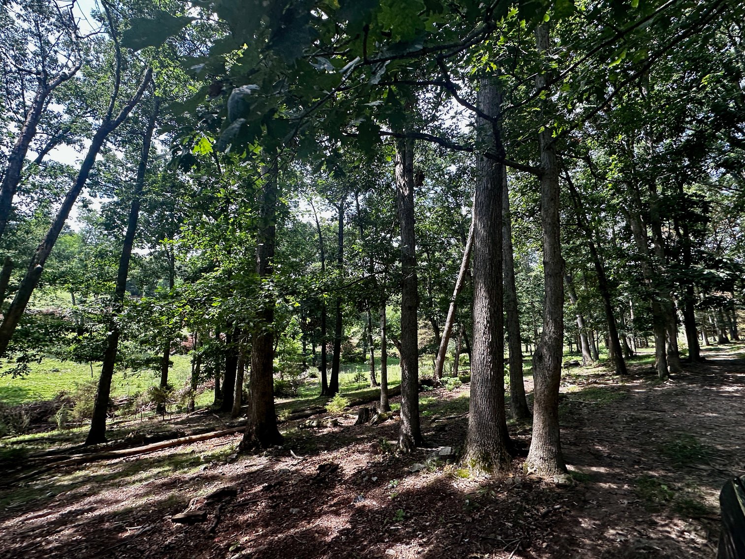 Image for 39.25 +/- Acres w/3 BR Farm House, 2 Poultry Houses, Loafing Shed & Litter Storage Shed--Rockingham County, VA