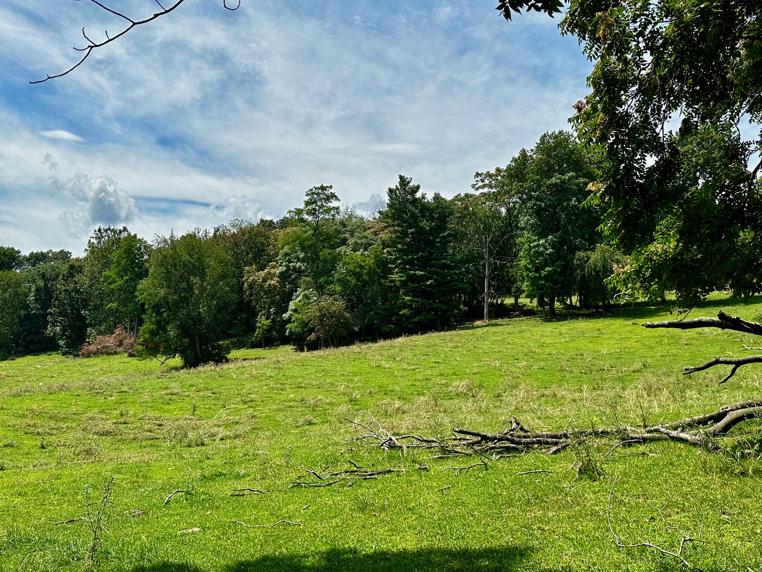 Image for 39.25 +/- Acres w/3 BR Farm House, 2 Poultry Houses, Loafing Shed & Litter Storage Shed--Rockingham County, VA