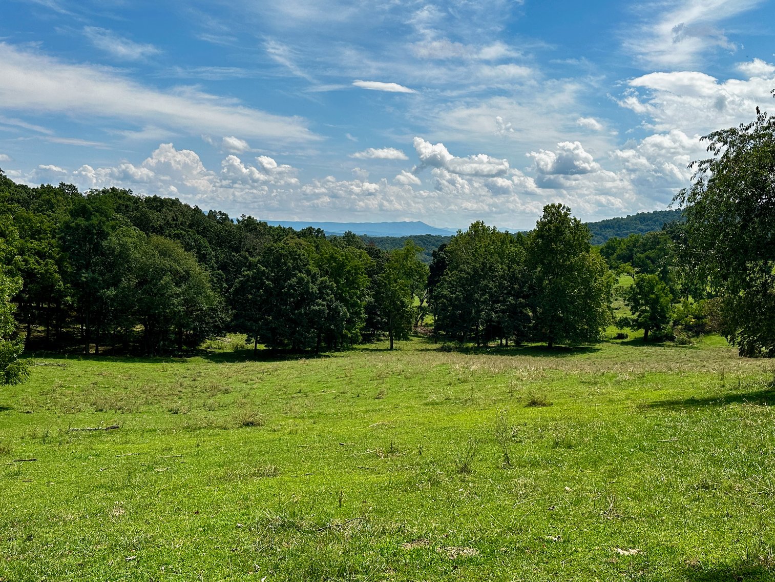 Image for 39.25 +/- Acres w/3 BR Farm House, 2 Poultry Houses, Loafing Shed & Litter Storage Shed--Rockingham County, VA