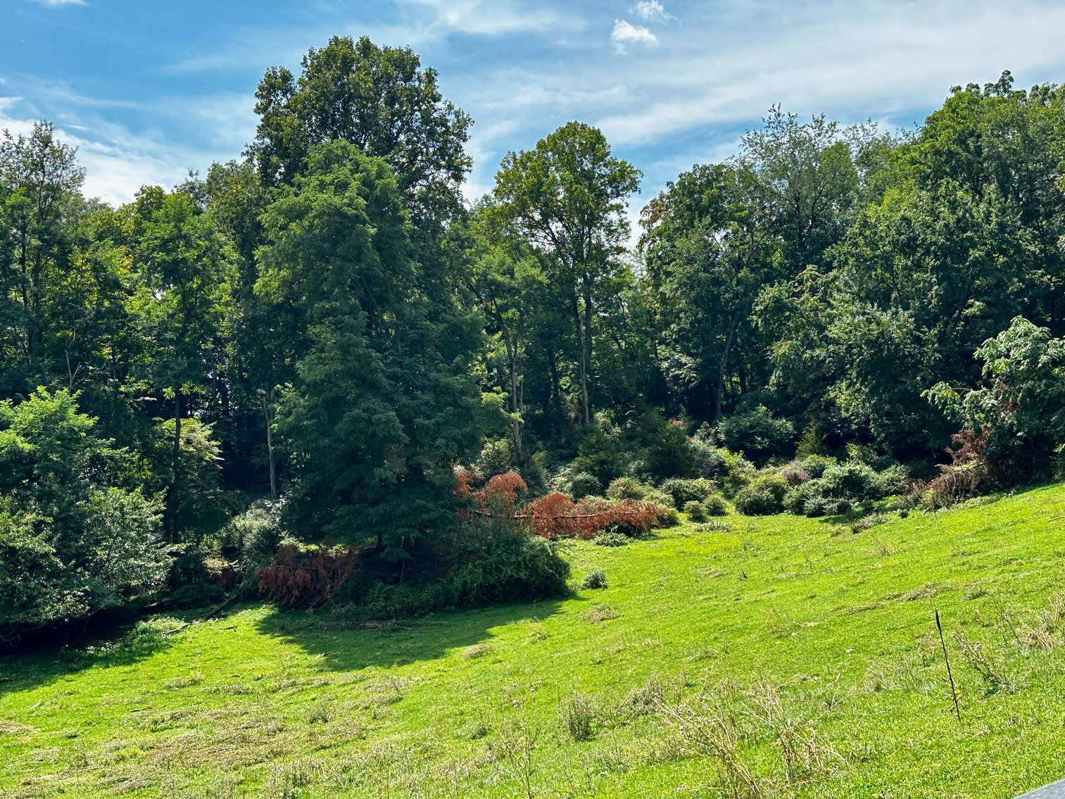 Image for 39.25 +/- Acres w/3 BR Farm House, 2 Poultry Houses, Loafing Shed & Litter Storage Shed--Rockingham County, VA