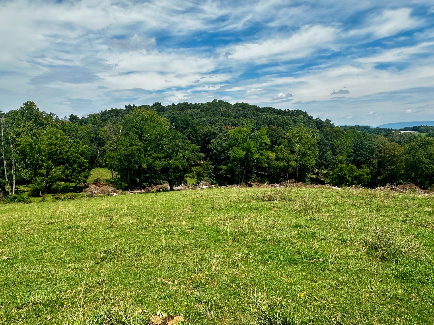 Image for 39.25 +/- Acres w/3 BR Farm House, 2 Poultry Houses, Loafing Shed & Litter Storage Shed--Rockingham County, VA