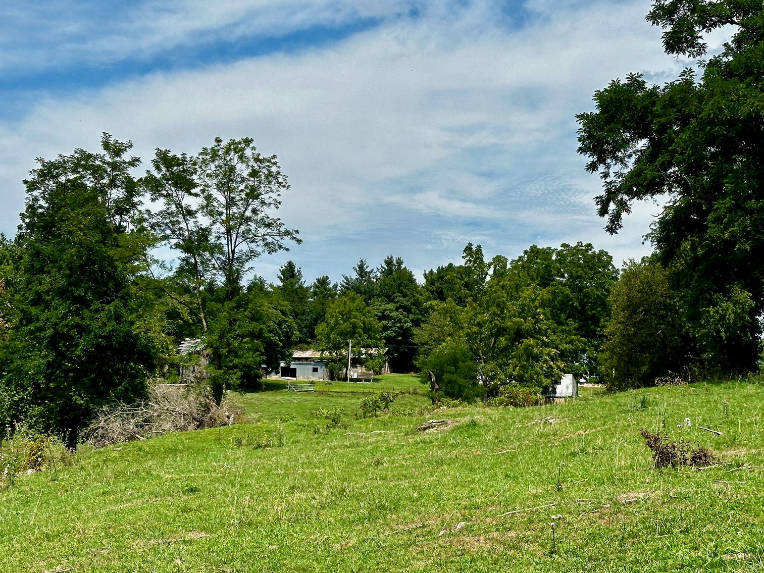 Image for 39.25 +/- Acres w/3 BR Farm House, 2 Poultry Houses, Loafing Shed & Litter Storage Shed--Rockingham County, VA