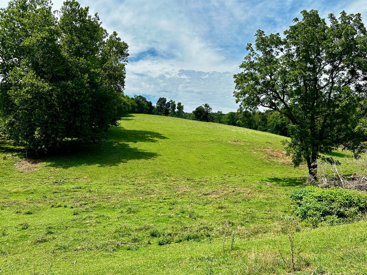 Image for 39.25 +/- Acres w/3 BR Farm House, 2 Poultry Houses, Loafing Shed & Litter Storage Shed--Rockingham County, VA