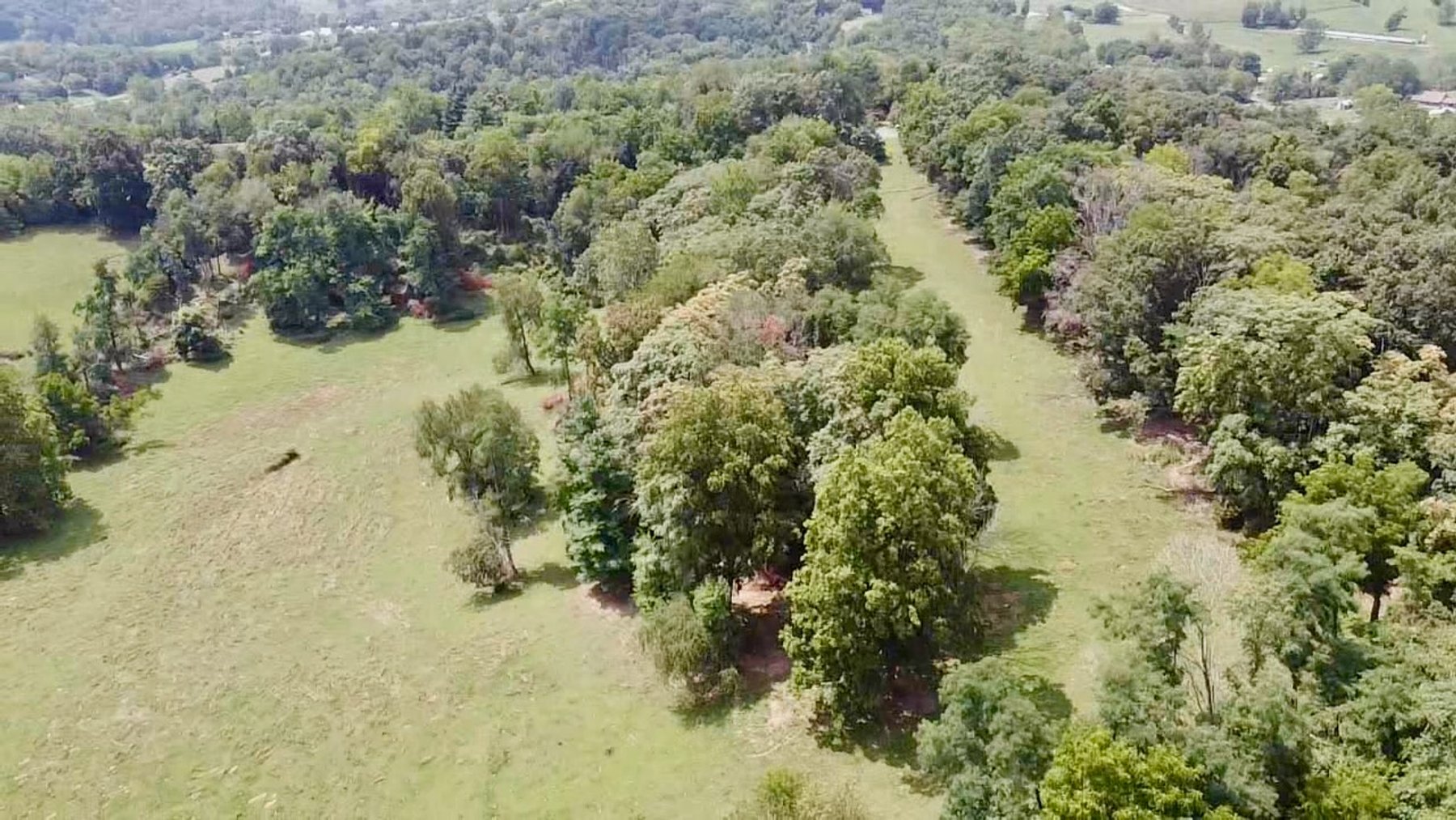 Image for 39.25 +/- Acres w/3 BR Farm House, 2 Poultry Houses, Loafing Shed & Litter Storage Shed--Rockingham County, VA