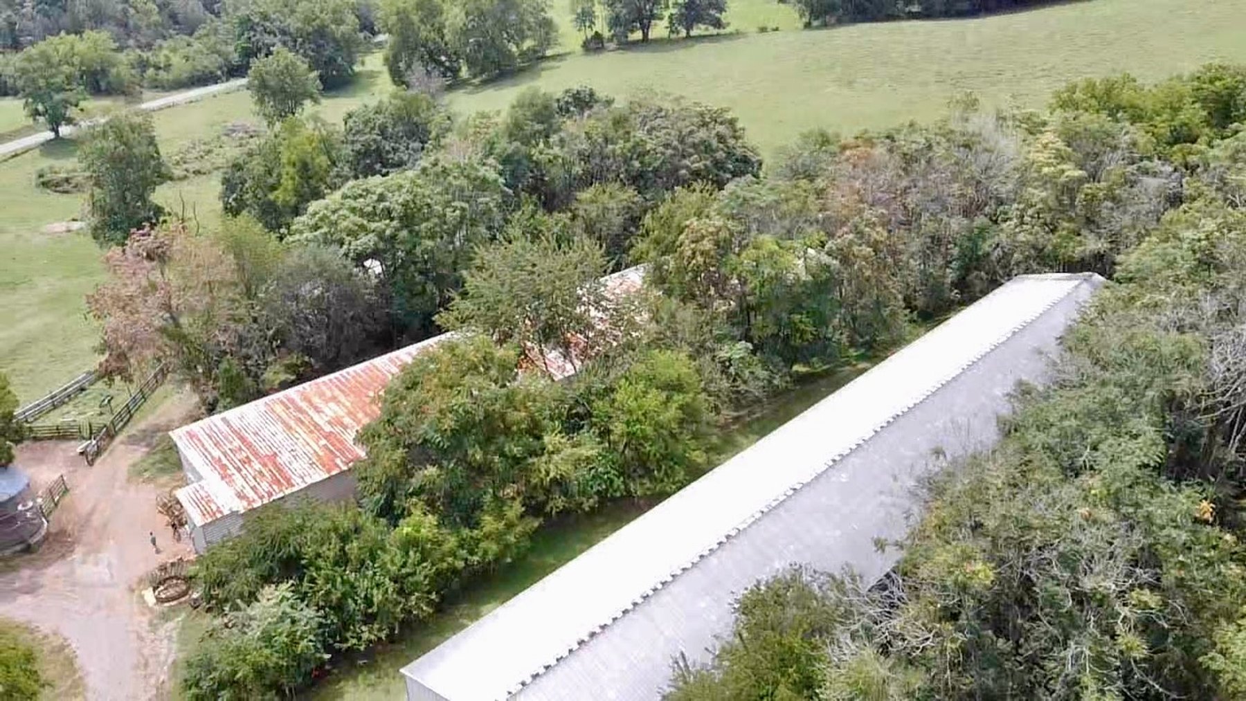 Image for 39.25 +/- Acres w/3 BR Farm House, 2 Poultry Houses, Loafing Shed & Litter Storage Shed--Rockingham County, VA