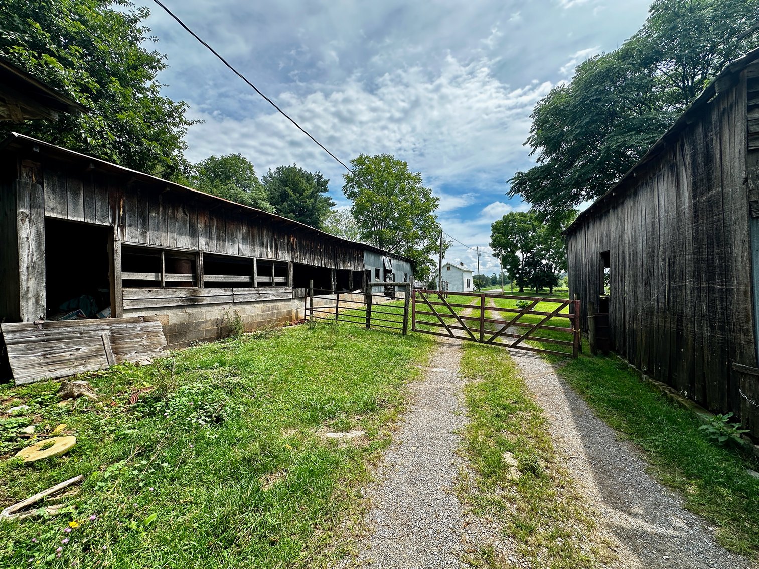 Image for 39.25 +/- Acres w/3 BR Farm House, 2 Poultry Houses, Loafing Shed & Litter Storage Shed--Rockingham County, VA