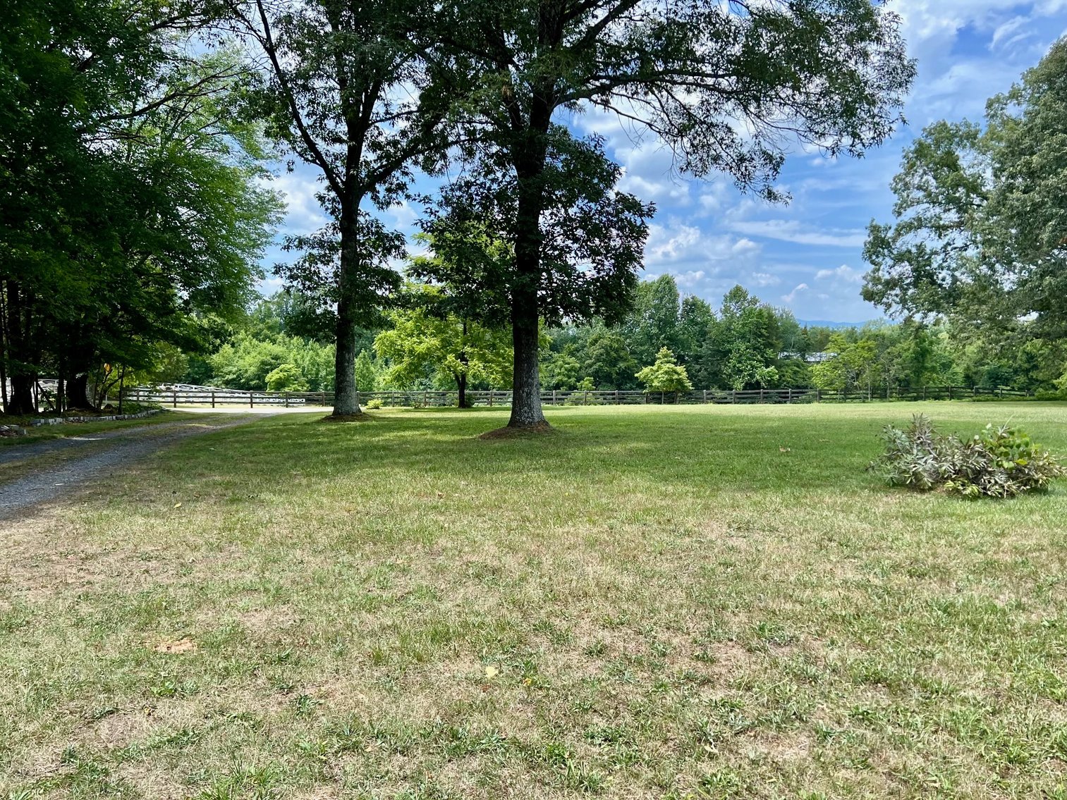 Image for 3 BR/2 BA Brick Home w/Walk-Out Basement on 5 +/- Acres in Madison County, VA--SELLING to the HIGHEST BIDDER!!