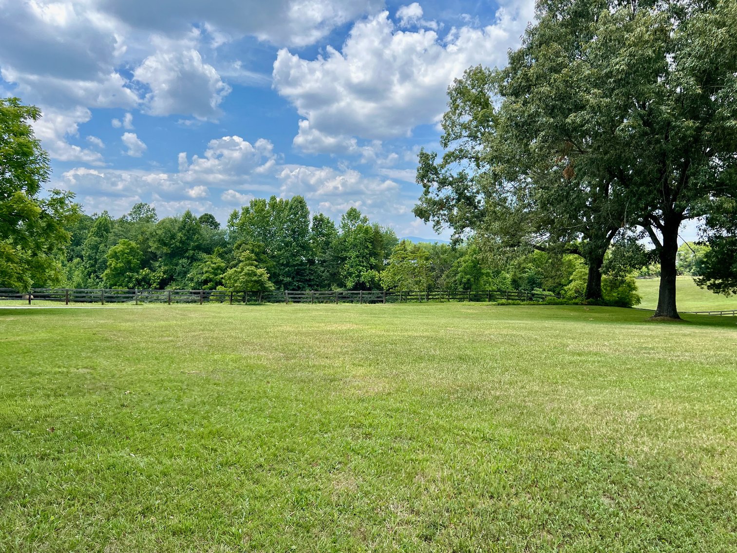 Image for 3 BR/2 BA Brick Home w/Walk-Out Basement on 5 +/- Acres in Madison County, VA--SELLING to the HIGHEST BIDDER!!