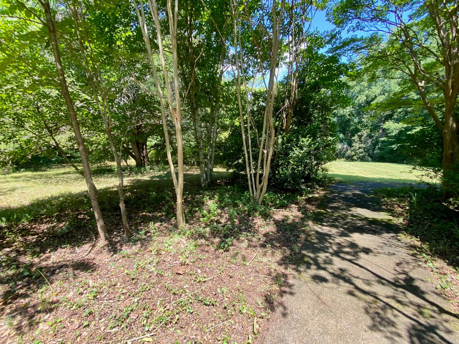 Image for 3 BR/3 BA Home w/Detached Shop on 10.4 +/- acres Close to UVA & Charlottesville Airport--Albemarle County, VA