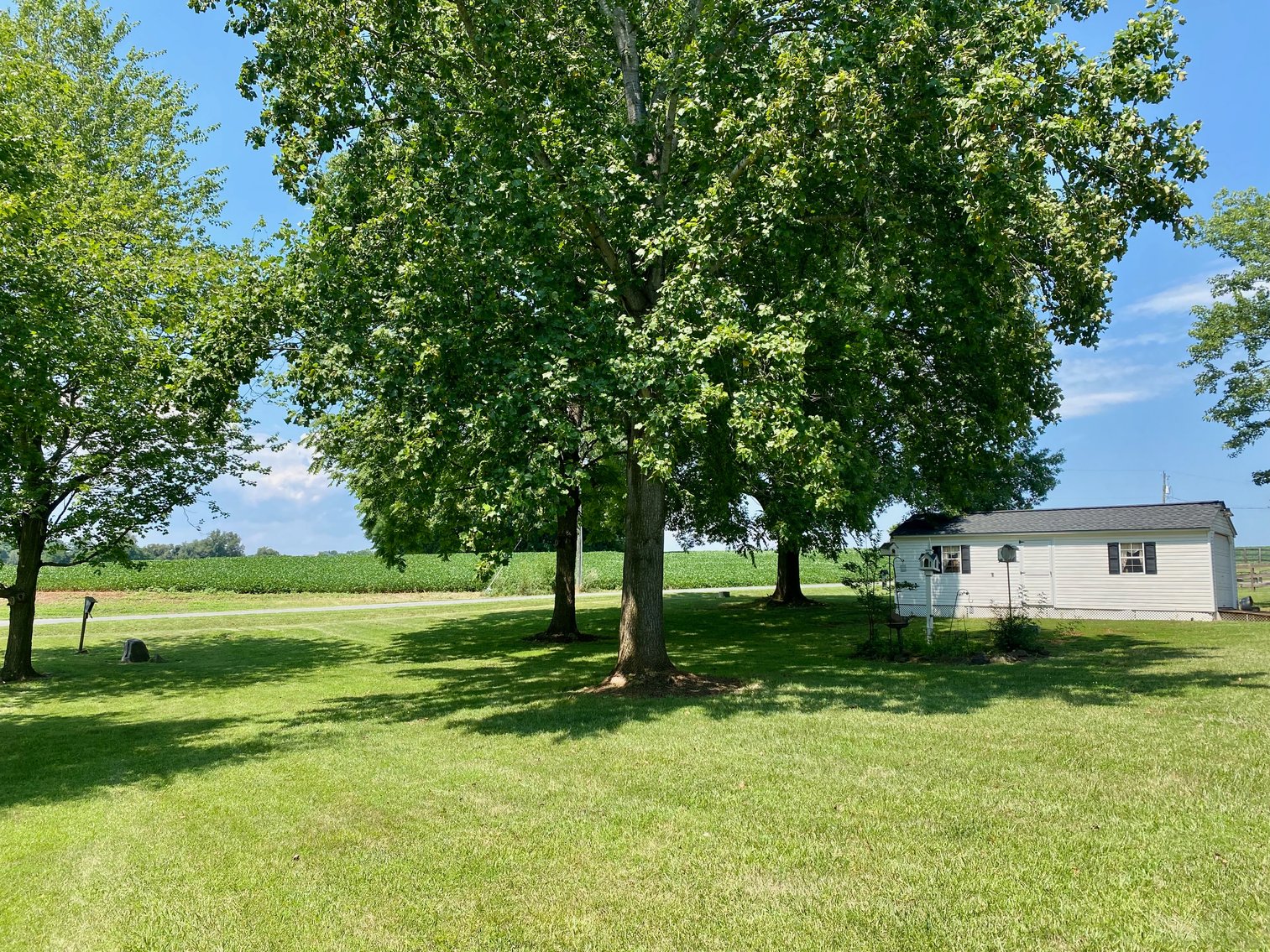 Image for 3 BR/2.5 BA Home w/Recent Upgrades on Large 1.34 +/- Acre Lot in Culpeper, VA--SELLING to the HIGHEST BIDDER!!