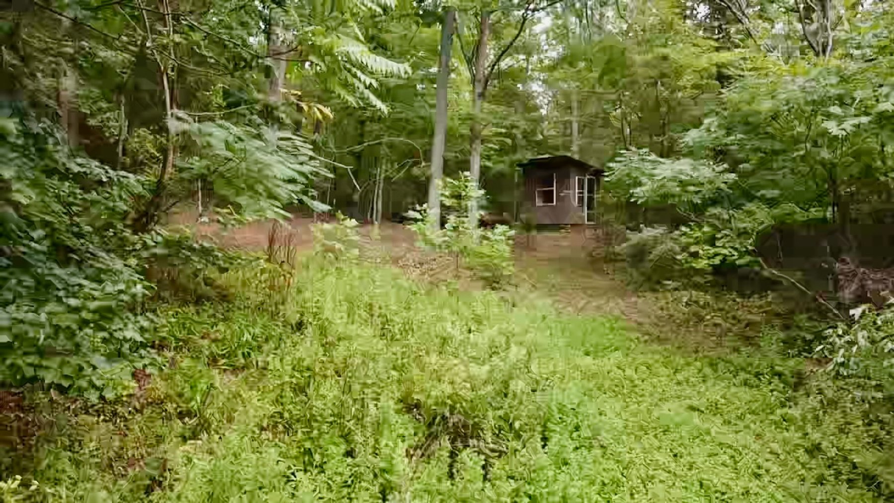 Image for 4 BR/2 BA Log Home on 7.9 +/- Acres w/400' +/- of Rapidan River Frontage & 2 Shops/Garages--Madison County, VA