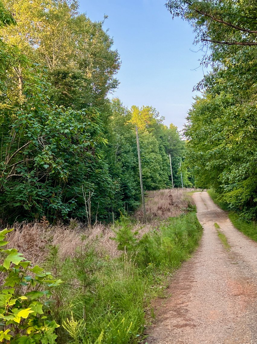 Image for 14 +/- Acre Wooded Parcel/Building Lot in Prince Edward County, VA--SELLING to the HIGHEST BIDDER via ONLINE ONLY BIDDING!!