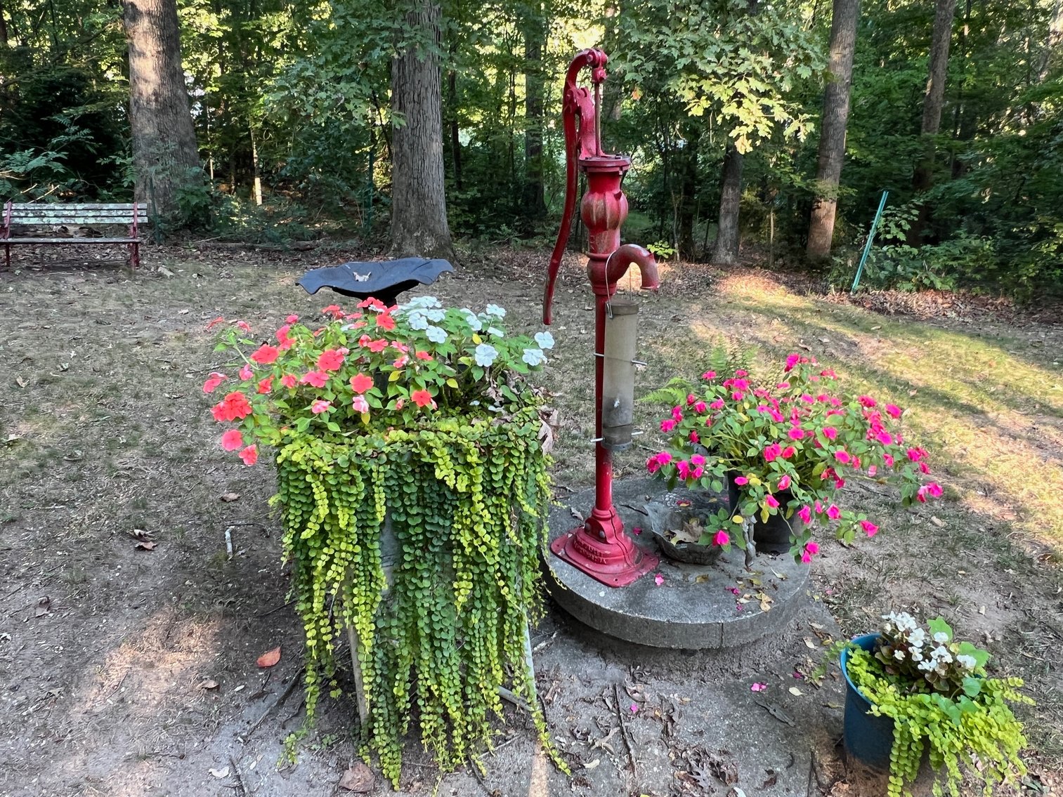 Image for 4 BR/3 BA Home w/Walk-Out Basement on 8.7 +/- Acres in North Stafford County, VA