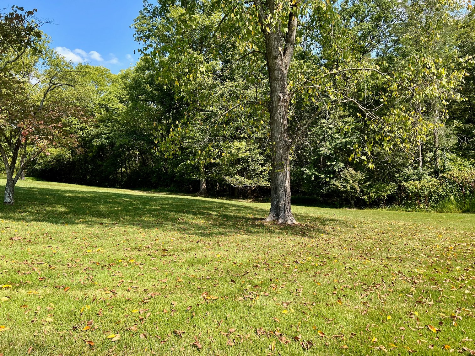 Image for 4 BR/3 BA Brick Home w/Walk-Out Basement on 5.4 +/- Acres in Nokesville, VA--Prince William County