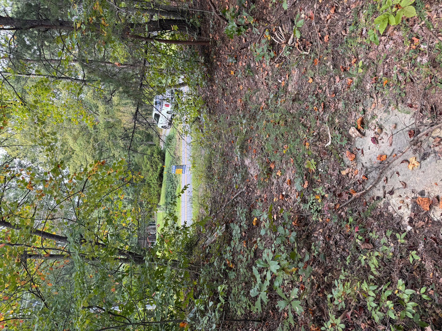 Image for 18.7 +/- Acres of Wooded Land w/530' +/- of Road Frontage in North Stafford County, VA--ONLINE ONLY BIDDING!!