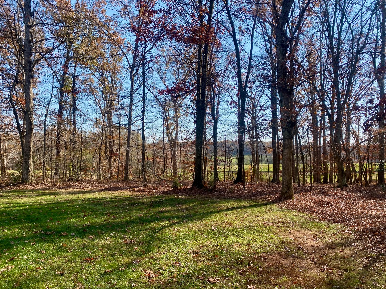 Image for 3 BR/3.5 BA Custom Home w/Walk-Out Basement, Large Shop/Garage & More on 7.6 +/- Acres in Orange County, VA
