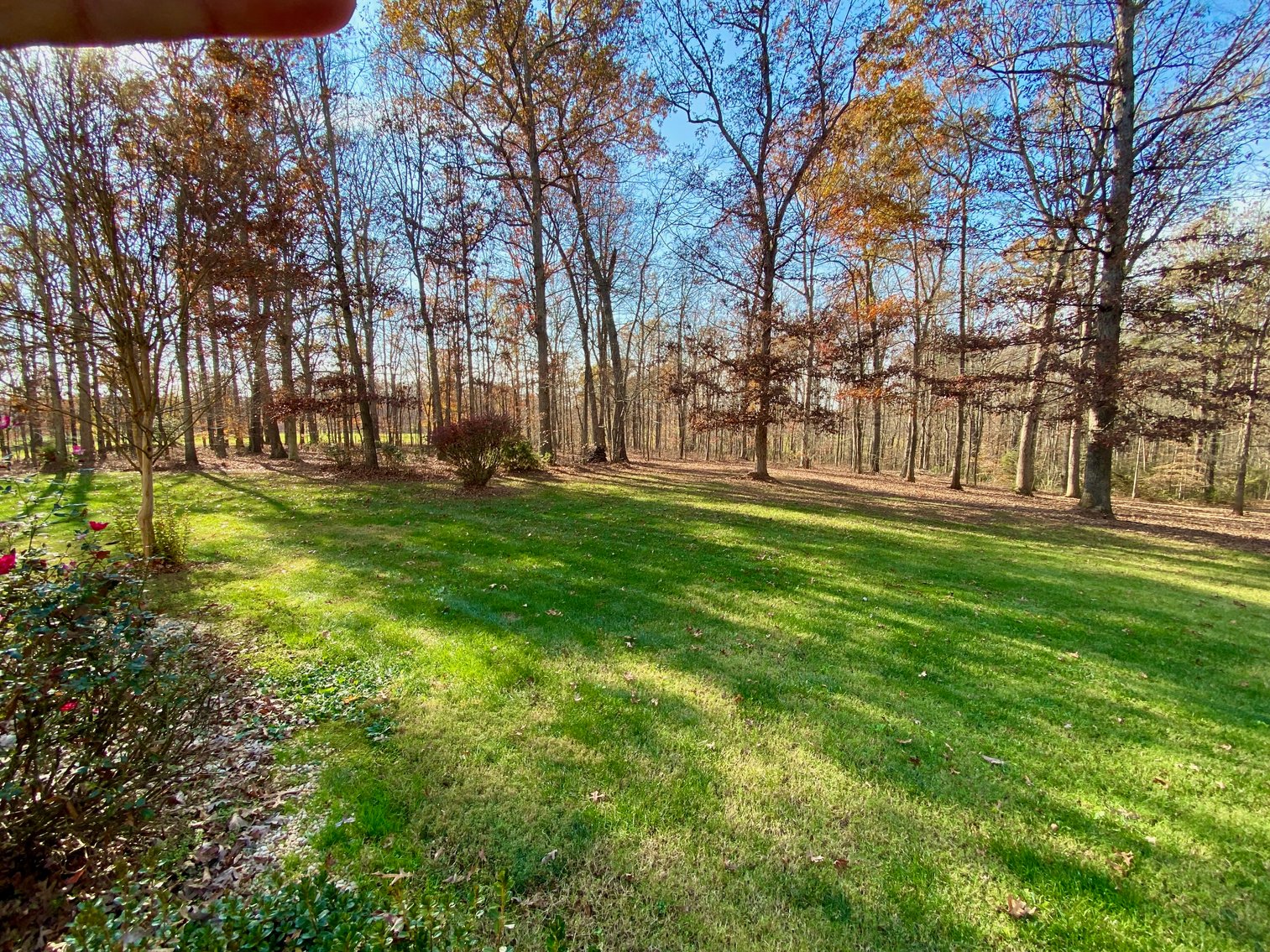 Image for 3 BR/3.5 BA Custom Home w/Walk-Out Basement, Large Shop/Garage & More on 7.6 +/- Acres in Orange County, VA
