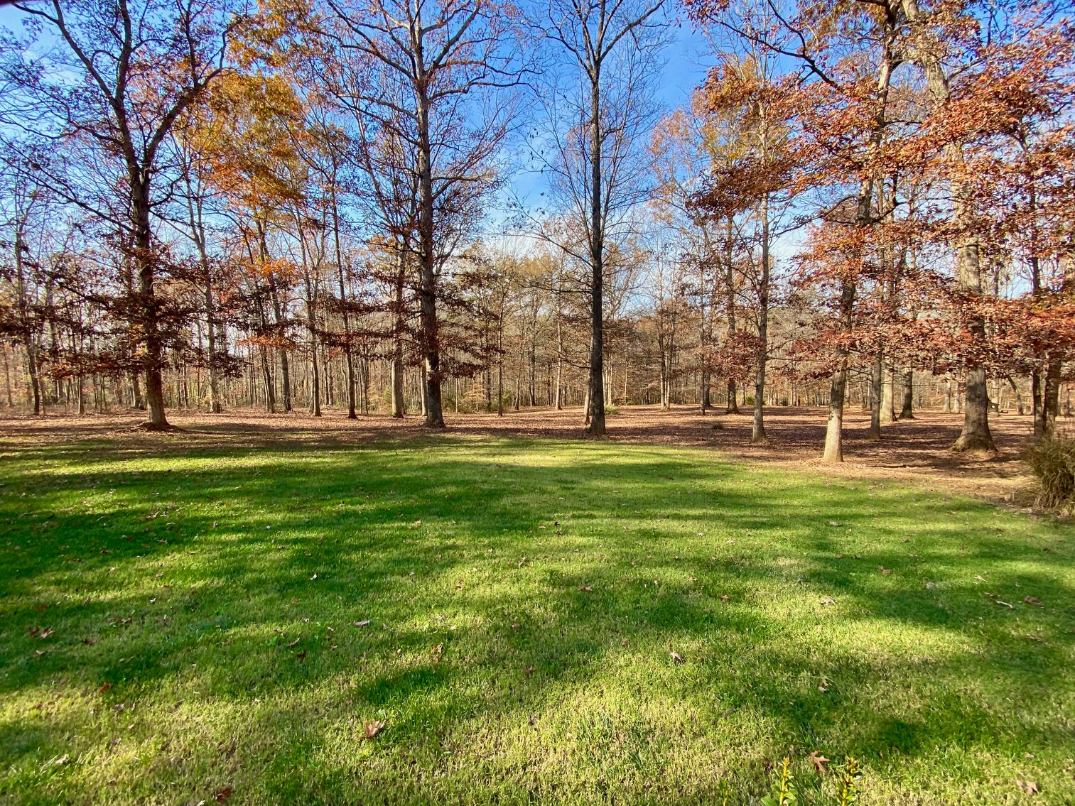Image for 3 BR/3.5 BA Custom Home w/Walk-Out Basement, Large Shop/Garage & More on 7.6 +/- Acres in Orange County, VA