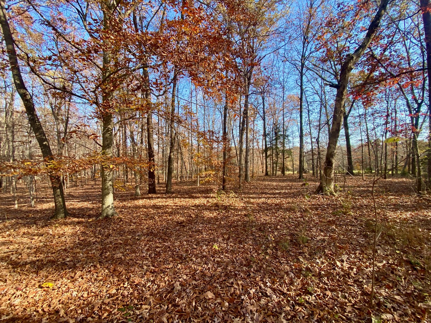 Image for 3 BR/3.5 BA Custom Home w/Walk-Out Basement, Large Shop/Garage & More on 7.6 +/- Acres in Orange County, VA