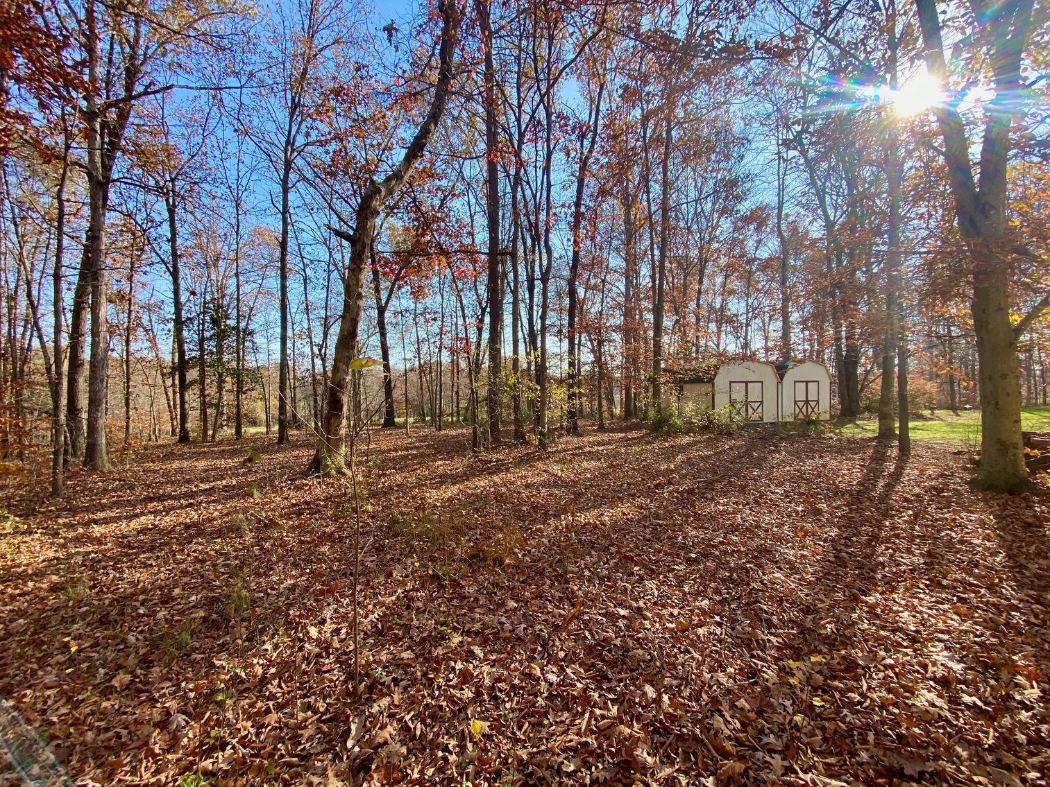 Image for 3 BR/3.5 BA Custom Home w/Walk-Out Basement, Large Shop/Garage & More on 7.6 +/- Acres in Orange County, VA