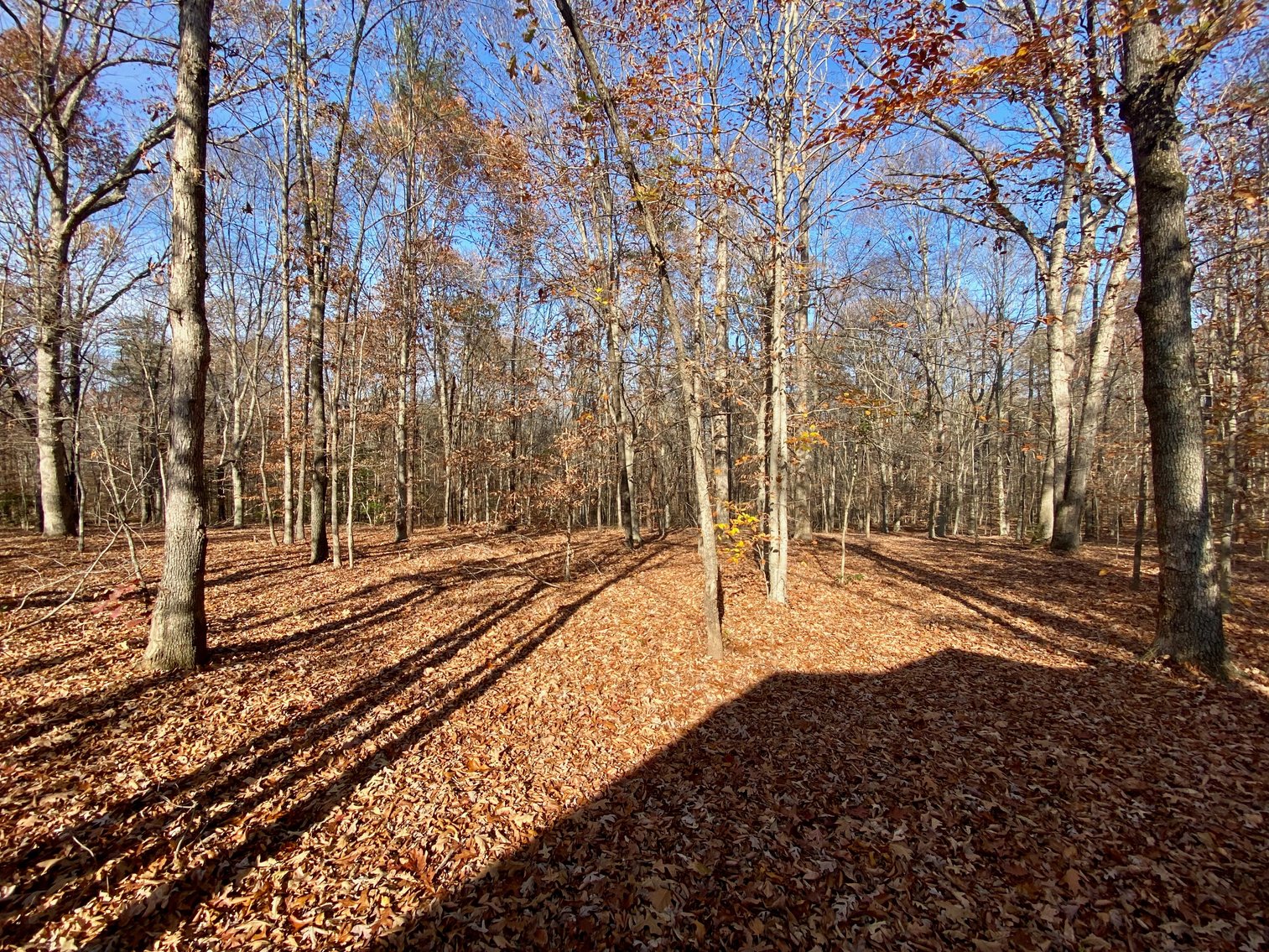 Image for 3 BR/3.5 BA Custom Home w/Walk-Out Basement, Large Shop/Garage & More on 7.6 +/- Acres in Orange County, VA