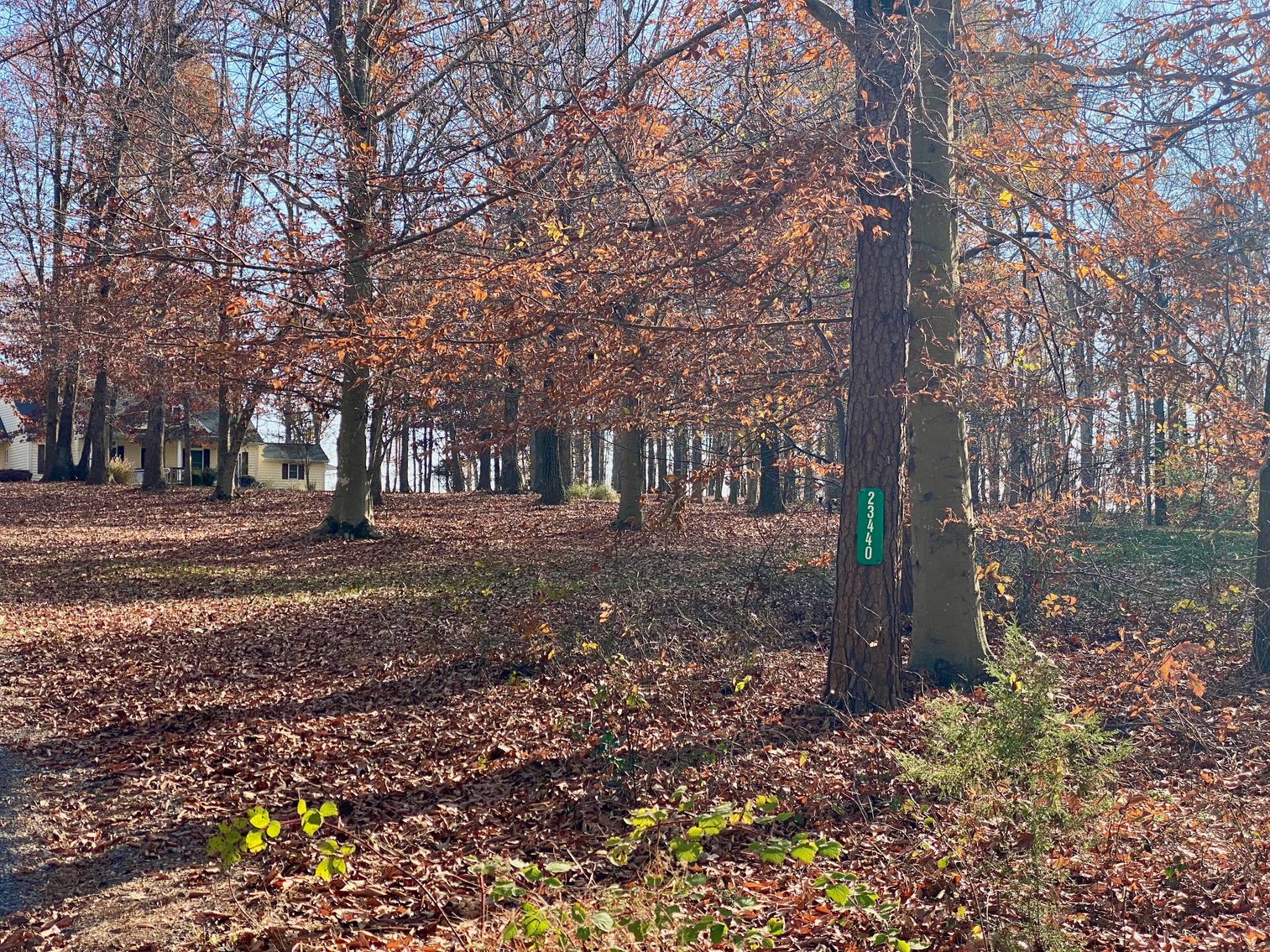 Image for 3 BR/3.5 BA Custom Home w/Walk-Out Basement, Large Shop/Garage & More on 7.6 +/- Acres in Orange County, VA