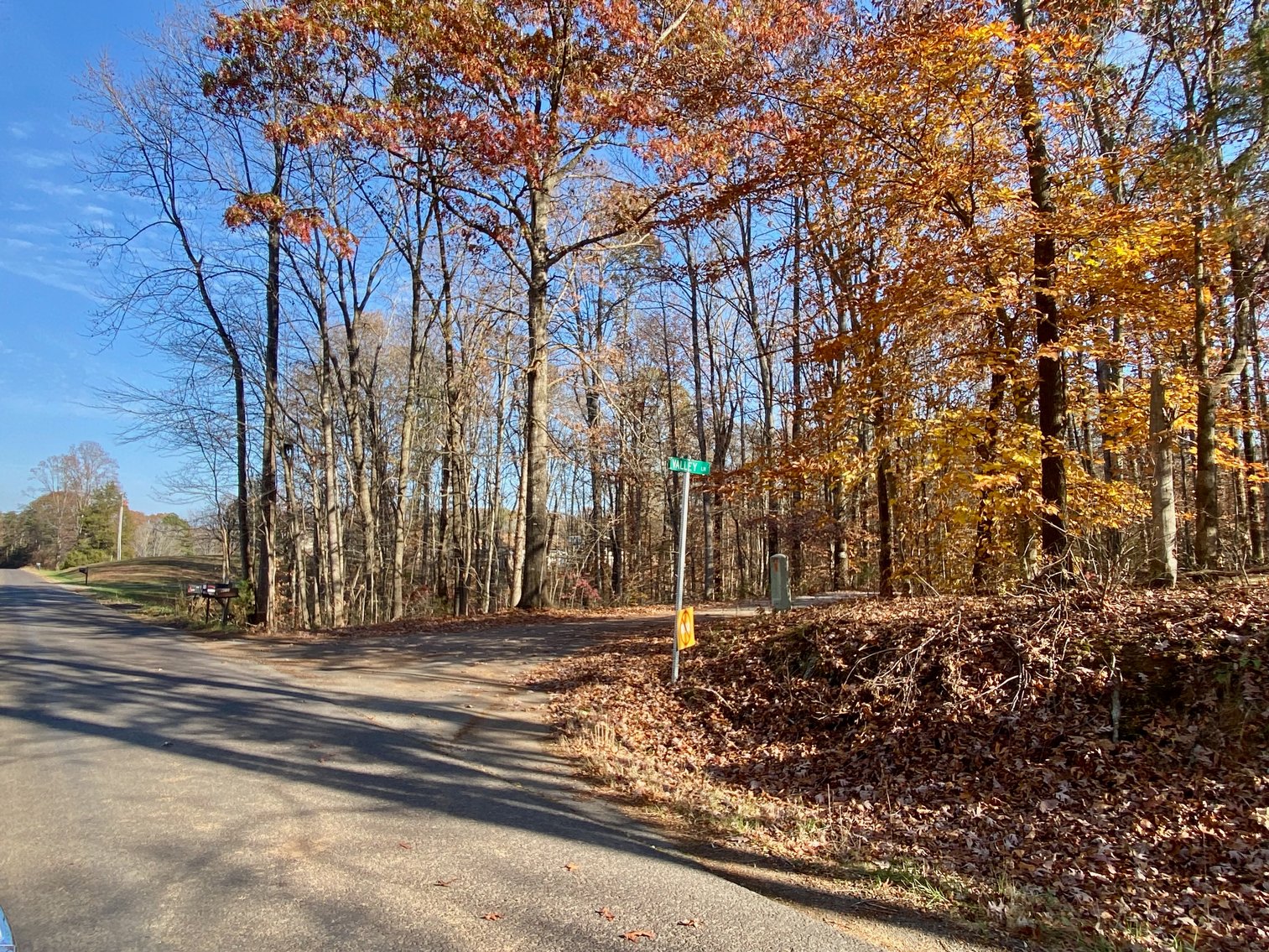 Image for 5.03 +/- Acre Land Parcel w/Mature Hardwoods in Orange County, VA