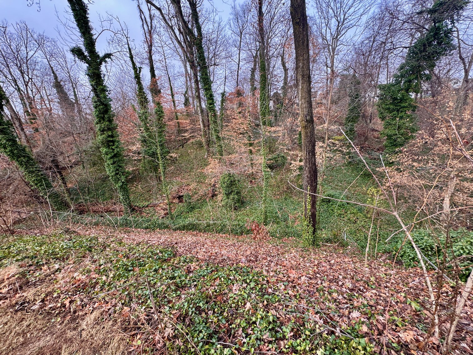 Image for 4 BR/2.5 BA Home w/Walk-Out Basement & Fenced Rear Yard Centrally Located in Prince William County, VA