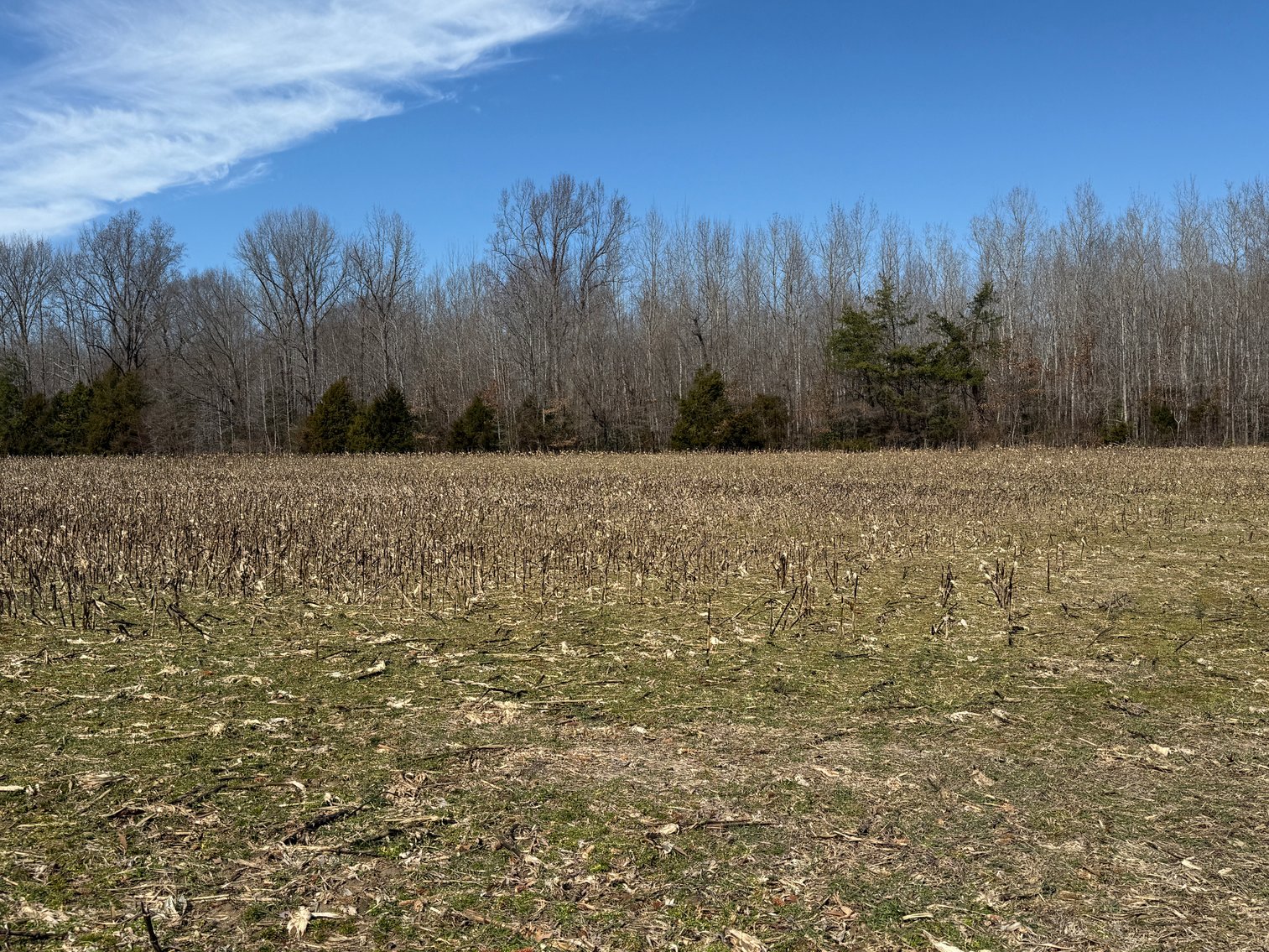 Image for 15.68 +/- Acre Estate Building Lot in Spotsylvania County, VA--ONLINE ONLY BIDDING!!