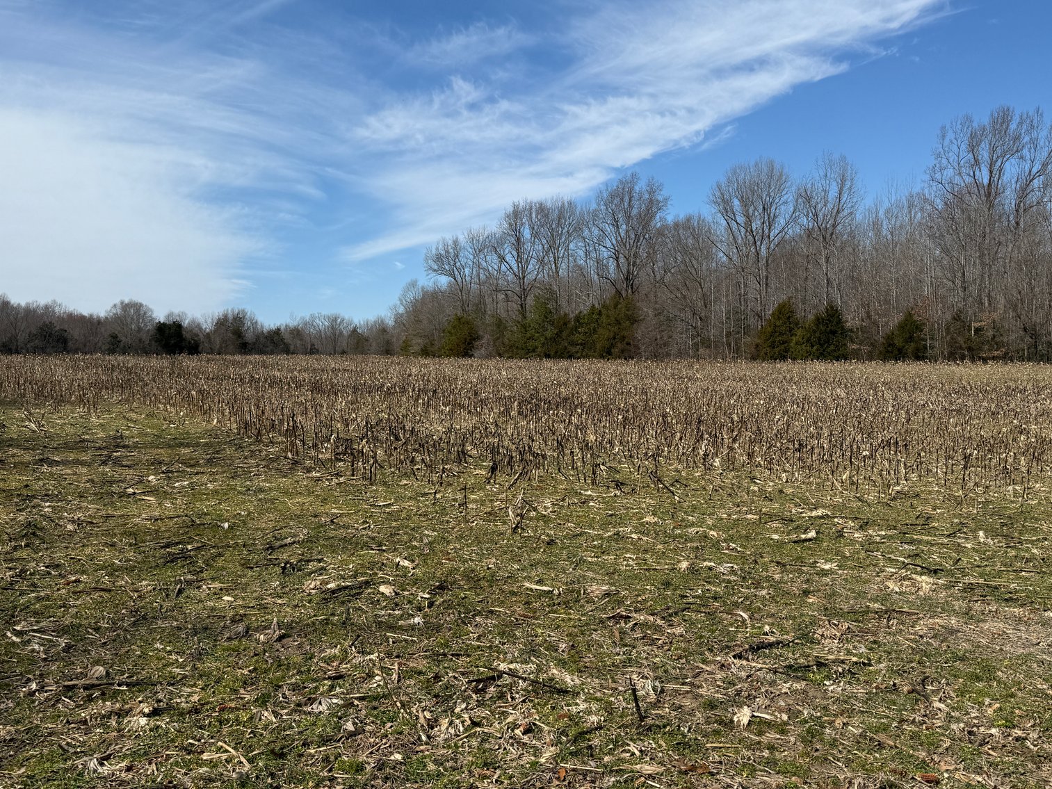Image for 18 +/- Acre Estate Building Lot in Spotsylvania County, VA-- SELLING to the HIGHEST BIDDER via ONLINE ONLY BIDDING!!
