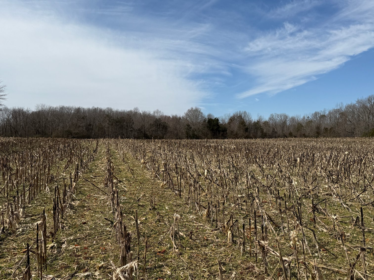 Image for 18 +/- Acre Estate Building Lot in Spotsylvania County, VA-- SELLING to the HIGHEST BIDDER via ONLINE ONLY BIDDING!!