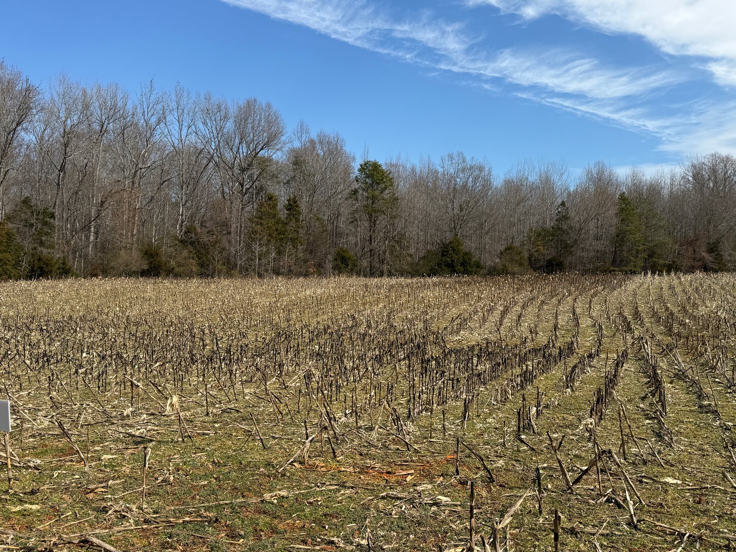 Image for 30.45 +/- Acre Estate Building Lot in Spotsylvania County, VA-- SELLING to the HIGHEST BIDDER via ONLINE ONLY BIDDING!!
