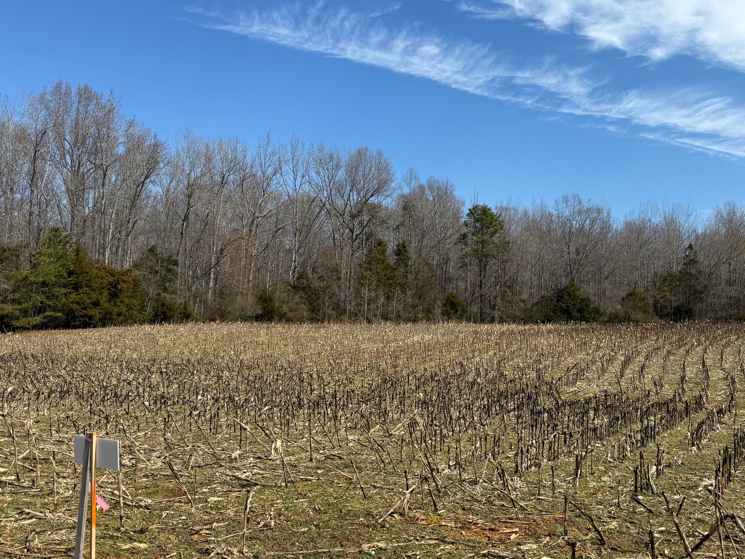 Image for 30.45 +/- Acre Estate Building Lot in Spotsylvania County, VA-- SELLING to the HIGHEST BIDDER via ONLINE ONLY BIDDING!!