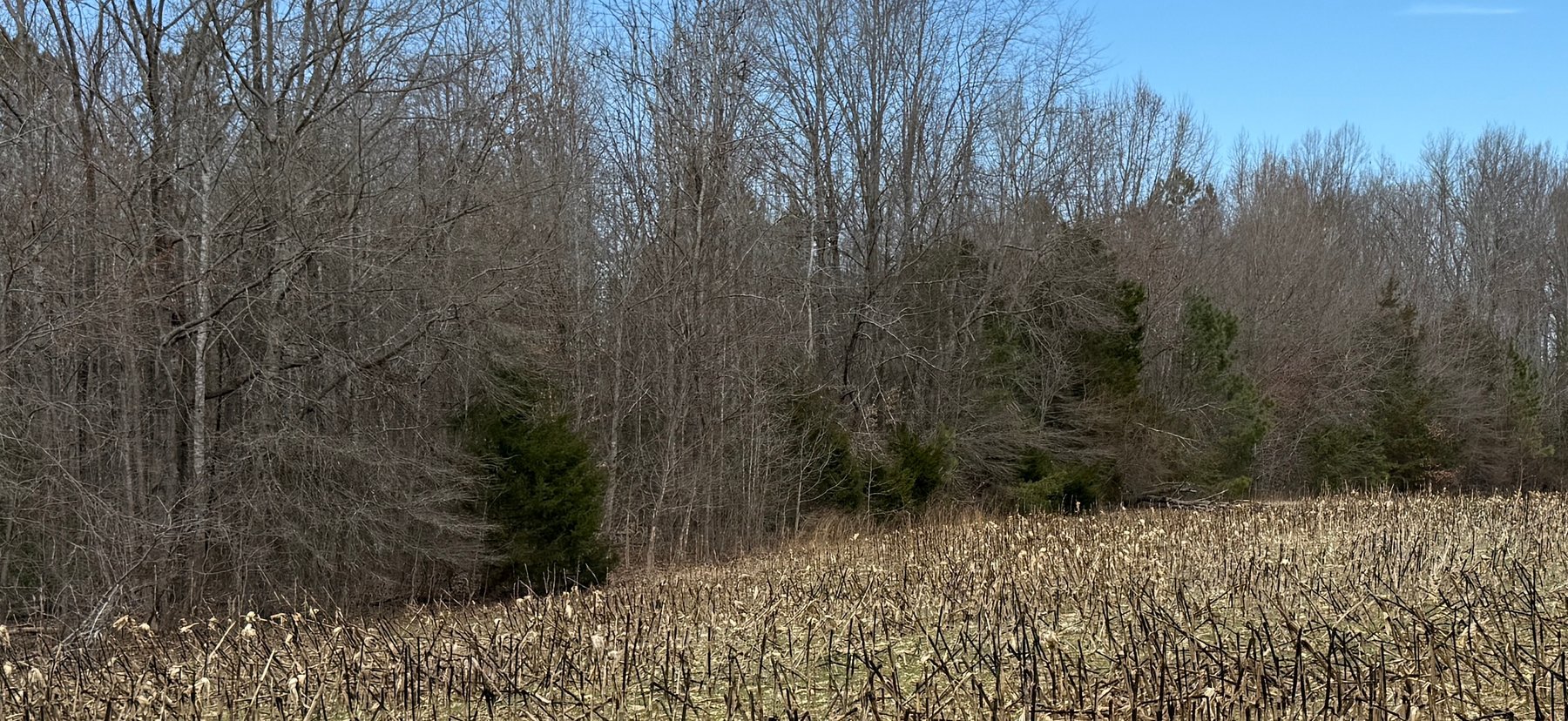 Image for 45.19 +/- Acre Estate Building Lot in Spotsylvania County, VA-- SELLING to the HIGHEST BIDDER via ONLINE ONLY BIDDING!!