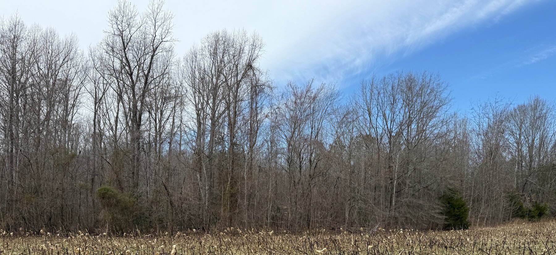 Image for 45.19 +/- Acre Estate Building Lot in Spotsylvania County, VA-- SELLING to the HIGHEST BIDDER via ONLINE ONLY BIDDING!!