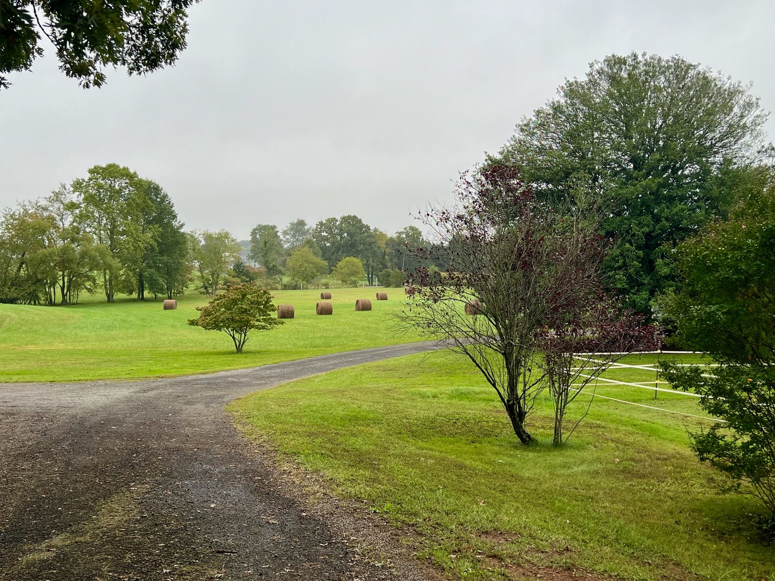 Image for 4 BR/4 BA Victorian/Queen Anne Style Farm House:  Detached Garages/Shops w/Apartment, Pond & Pool on 10.5 +/- Acres in Fauquier County, VA