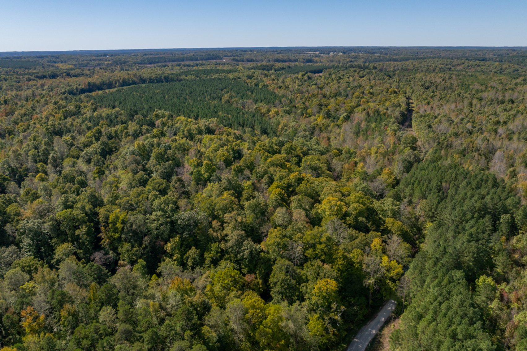 Image for 102 +/- Acre Timber Tract w/Large Amount of Frontage on 2 Roads--Lunenburg County, VA