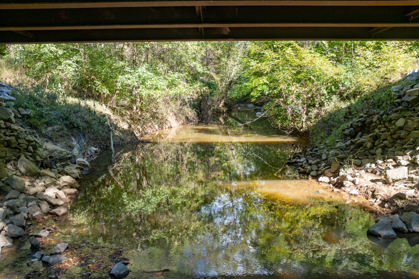 Image for 102 +/- Acre Timber Tract w/Large Amount of Frontage on 2 Roads--Lunenburg County, VA