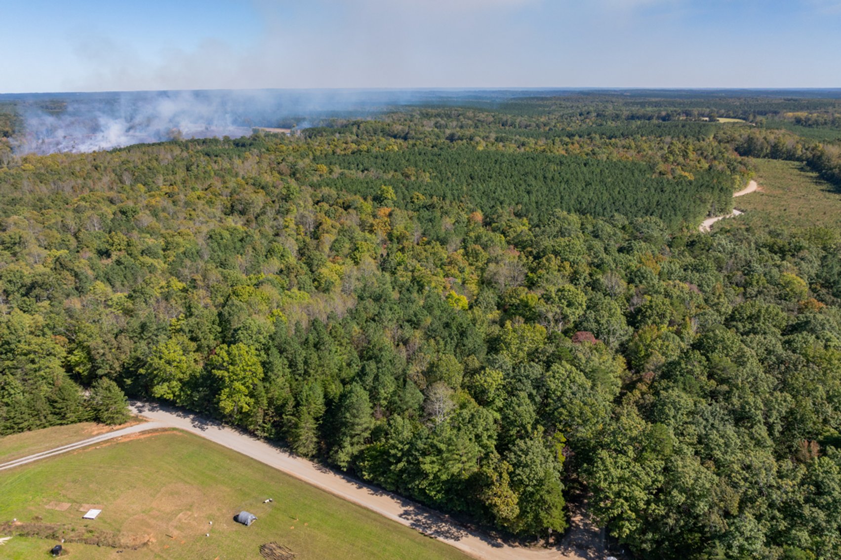 Image for 102 +/- Acre Timber Tract w/Large Amount of Frontage on 2 Roads--Lunenburg County, VA