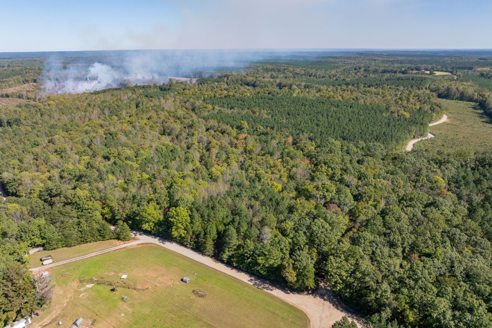 Image for 102 +/- Acre Timber Tract w/Large Amount of Frontage on 2 Roads--Lunenburg County, VA