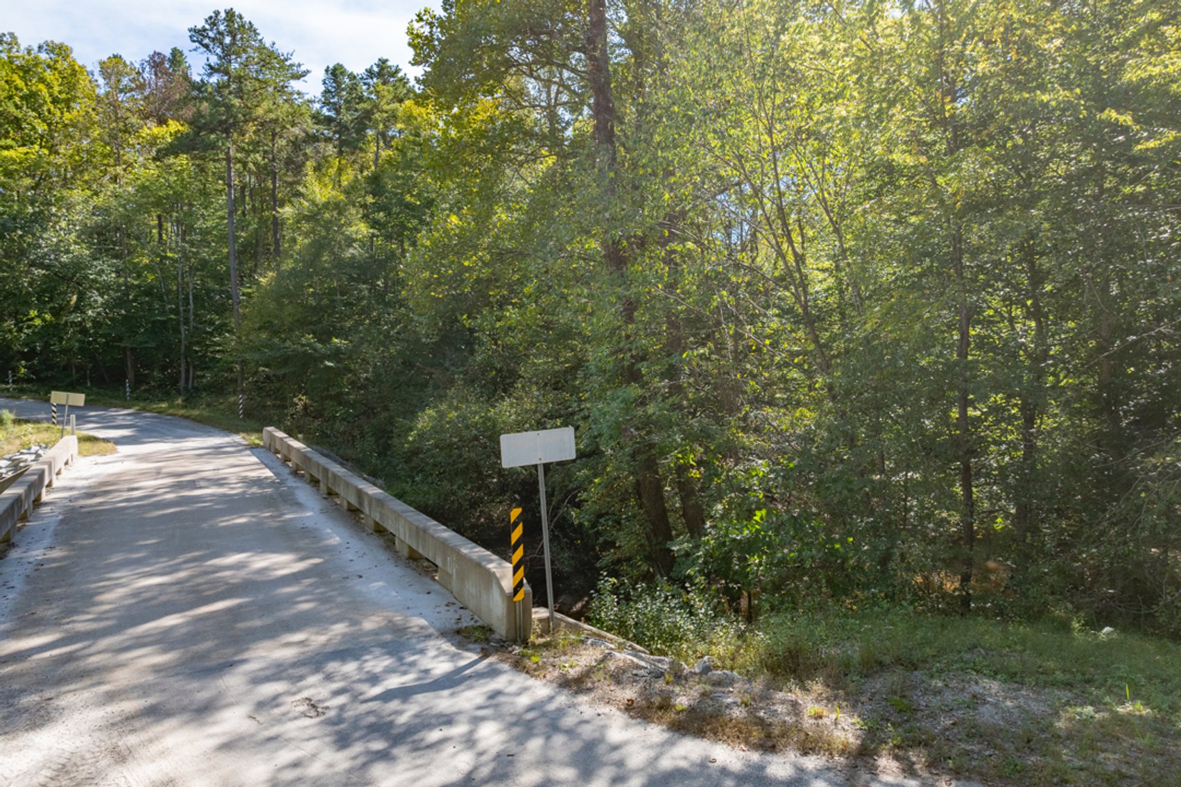 Image for 102 +/- Acre Timber Tract w/Large Amount of Frontage on 2 Roads--Lunenburg County, VA