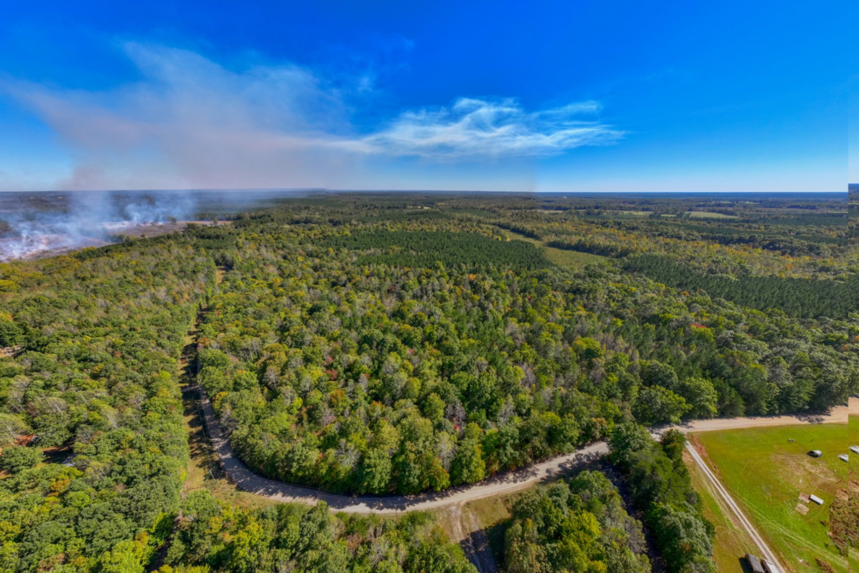 Image for 102 +/- Acre Timber Tract w/Large Amount of Frontage on 2 Roads--Lunenburg County, VA