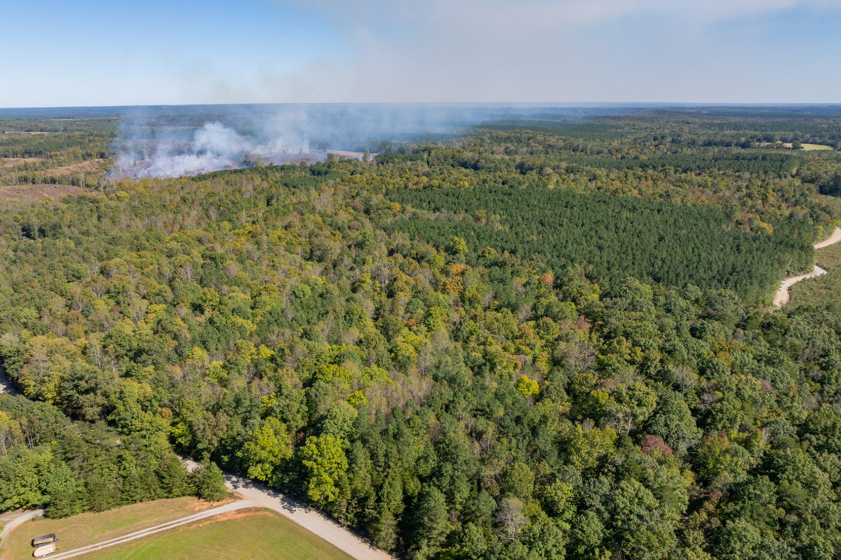 Image for 102 +/- Acre Timber Tract w/Large Amount of Frontage on 2 Roads--Lunenburg County, VA
