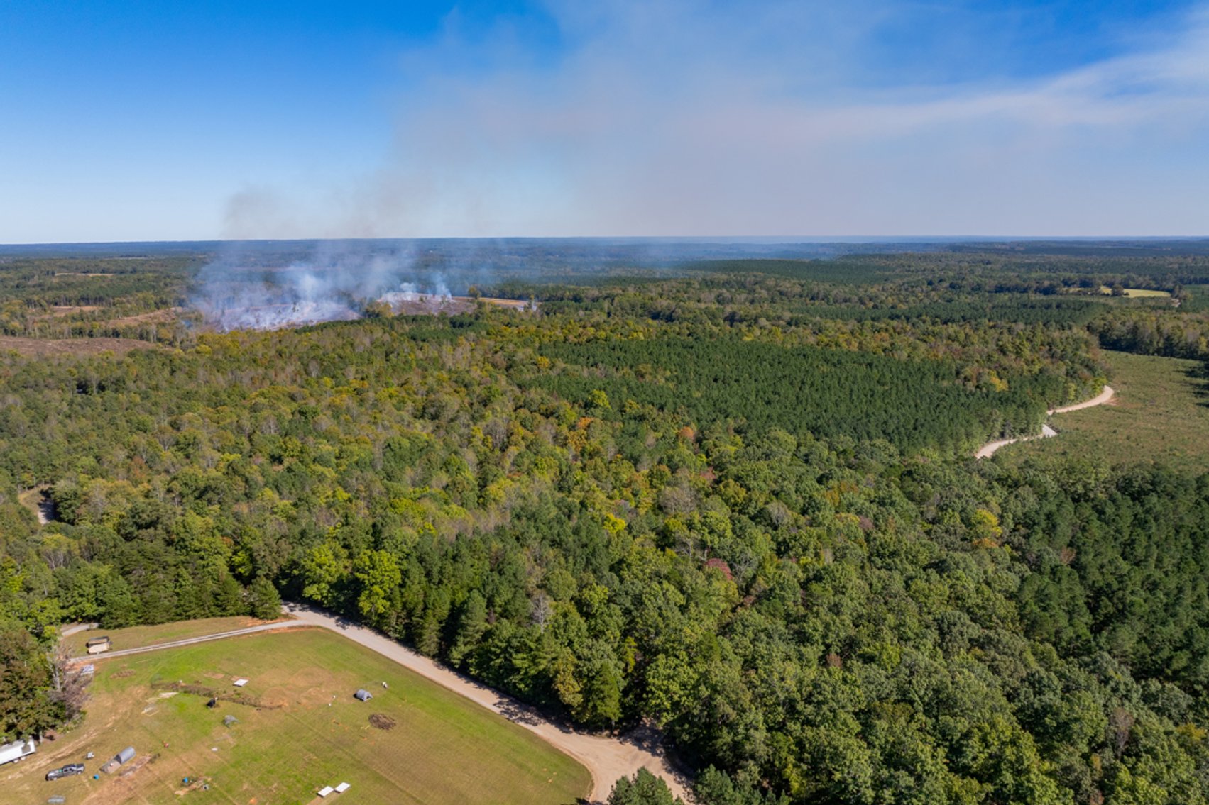 Image for 102 +/- Acre Timber Tract w/Large Amount of Frontage on 2 Roads--Lunenburg County, VA