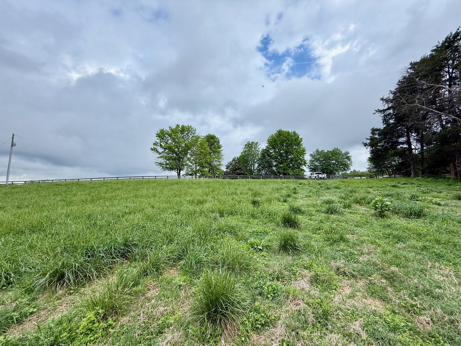 Image for 6.32 +/- Acre Land Parcel w/Road Frontage & Partial Fencing in Orange County, VA--SELLING to the HIGHEST BIDDER!!