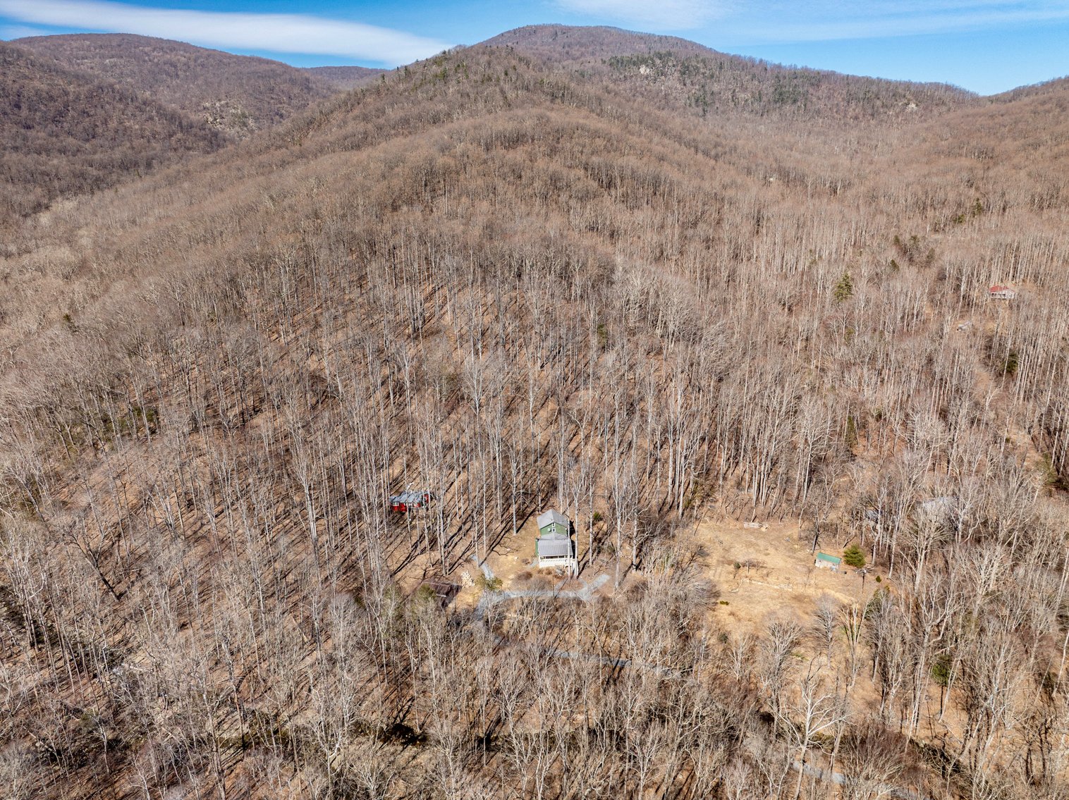 Image for 3.1 +/- Acre Wooded Building Lot w/Approved Drain Field Site Adjacent to Shenandoah National Park in Madison County, VA--ONLINE ONLY BIDDING!!