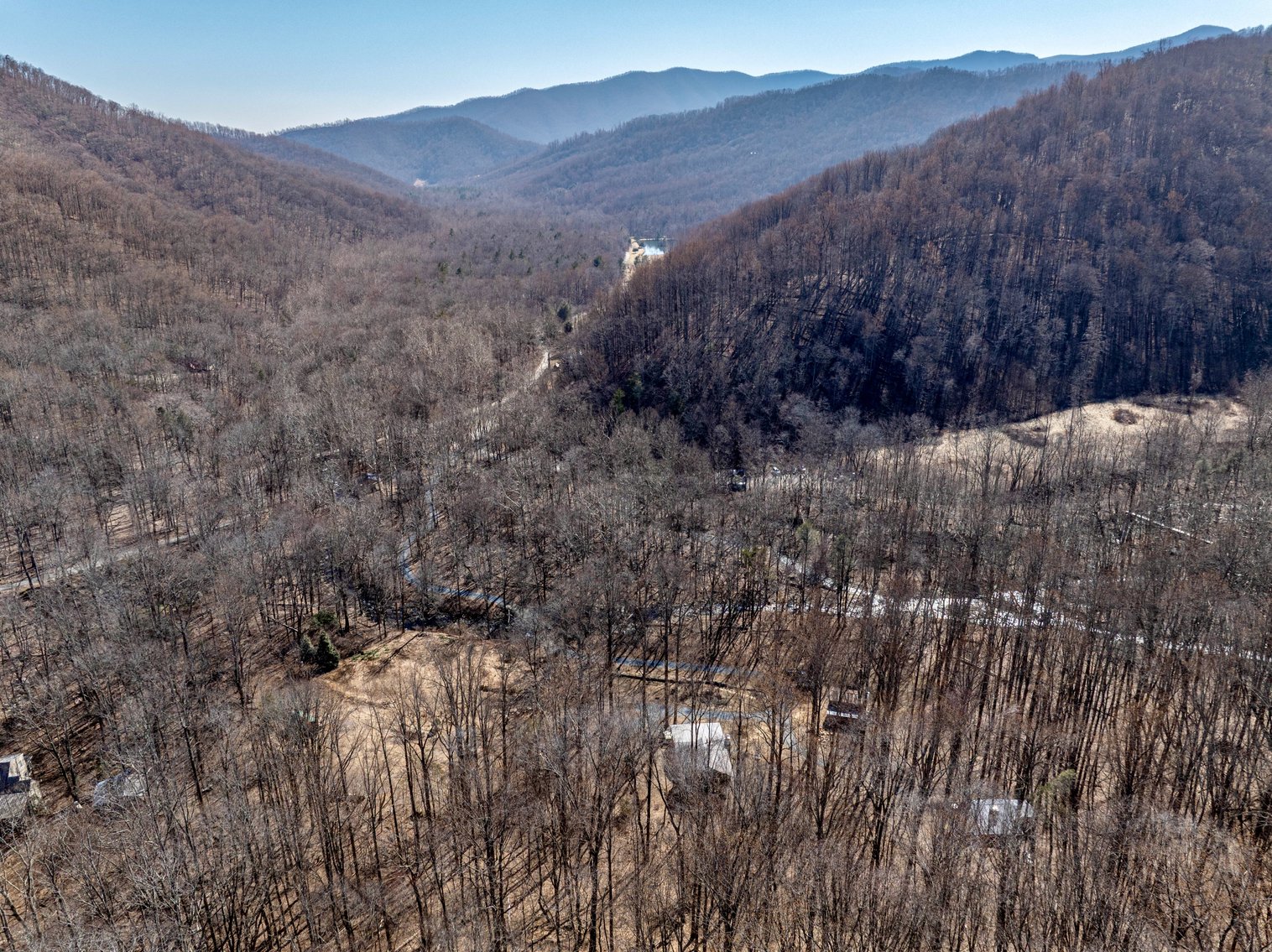 Image for 3.1 +/- Acre Wooded Building Lot w/Approved Drain Field Site Adjacent to Shenandoah National Park in Madison County, VA--ONLINE ONLY BIDDING!!