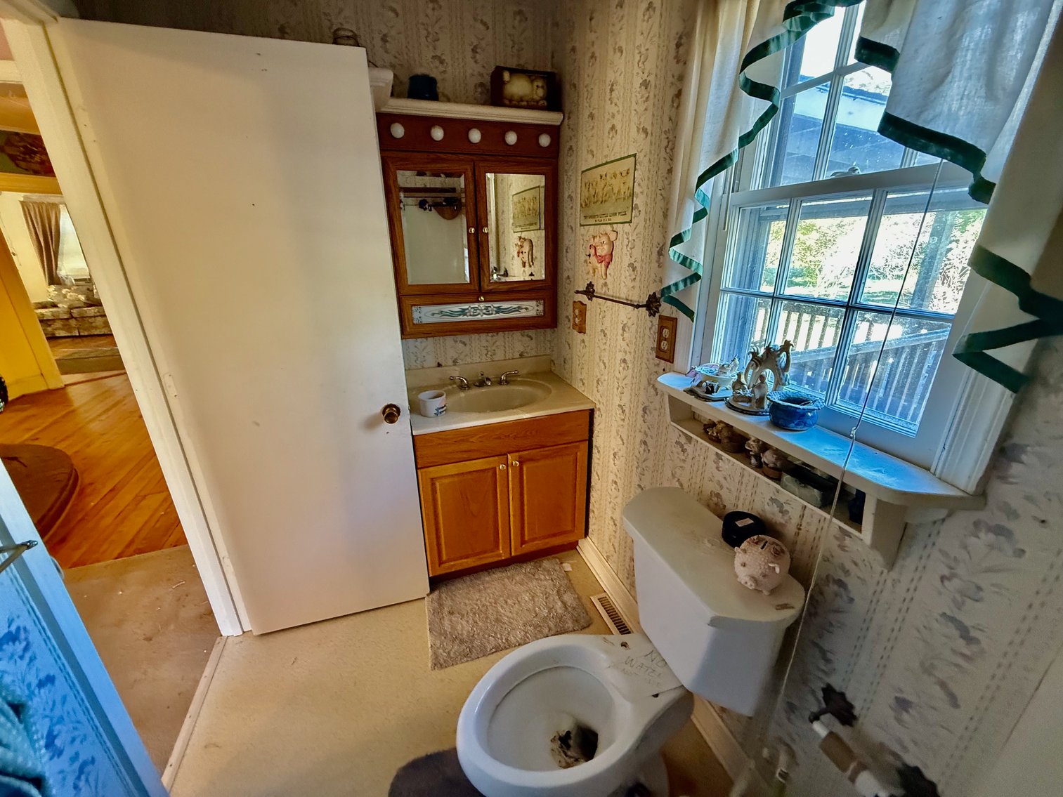 Image for 5 BR/2 BA Home on 1 +/- Acre Lot in The Town of Gordonsville, VA--ONLINE ONLY BIDDING!!