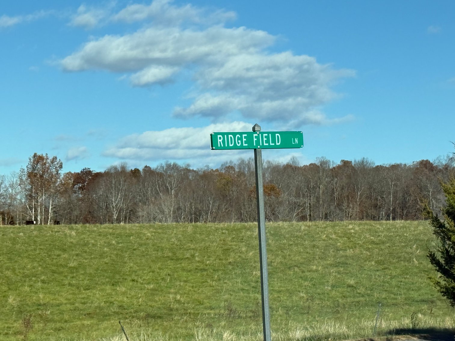 Image for 5.2 +/- Acre Mostly Wooded Building/Estate Lot in Orange County, VA--SELLING to the HIGHEST BIDDER via ONLINE ONLY BIDDING!!