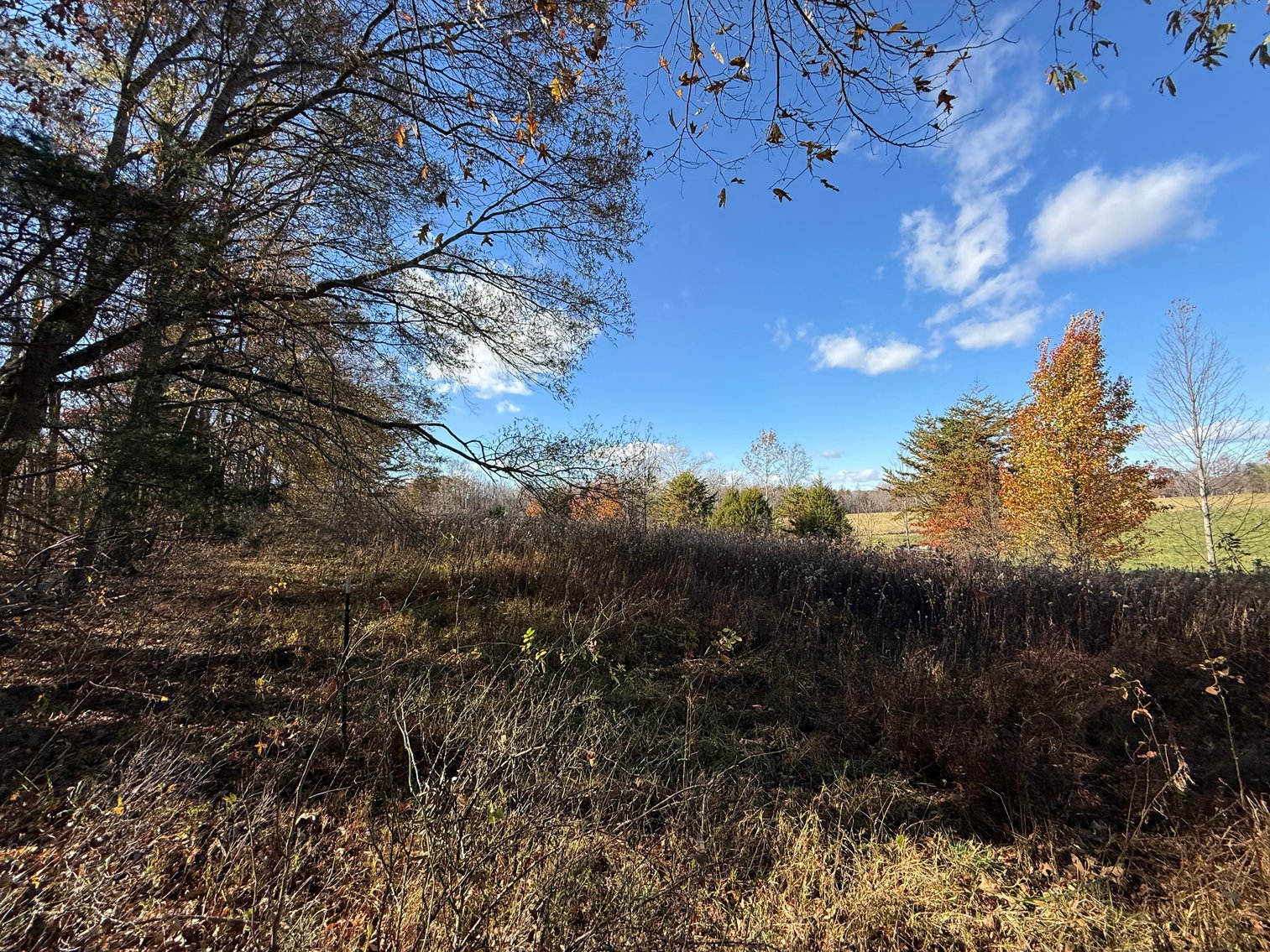 Image for 5.2 +/- Acre Mostly Wooded Building/Estate Lot in Orange County, VA--SELLING to the HIGHEST BIDDER via ONLINE ONLY BIDDING!!